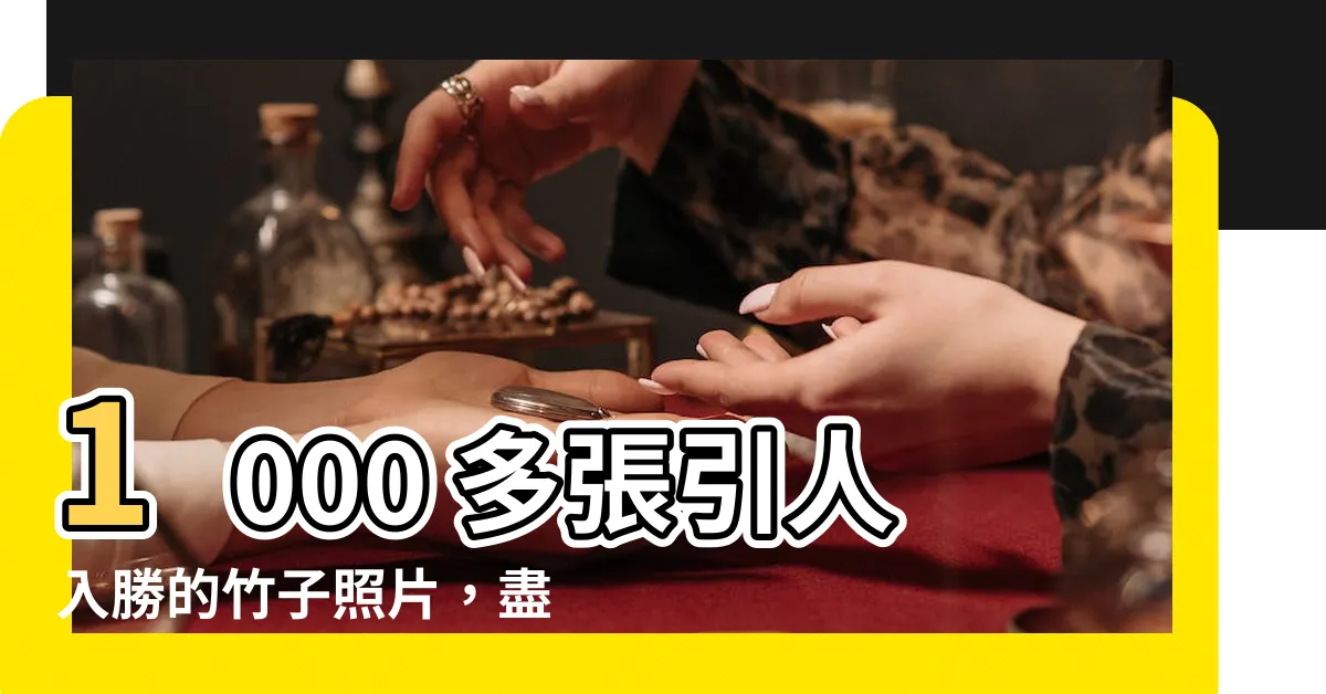 【竹子照片】1000 多張引人入勝的竹子照片，盡收眼底！