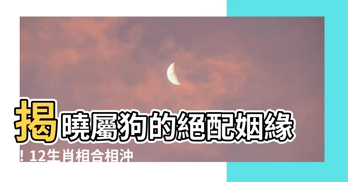 【屬狗適合的生肖】揭曉屬狗的絕配姻緣！12生肖相合相沖大解析，助你找到幸福歸宿