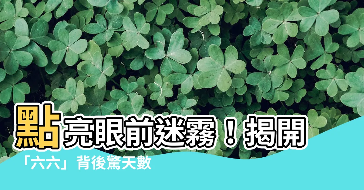 【6數字】點亮眼前迷霧！揭開「六六」背後驚天數字謎團