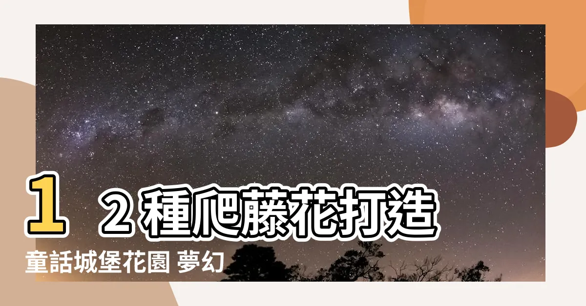 【爬藤花有哪些】12 種爬藤花打造童話城堡花園 夢幻又消暑