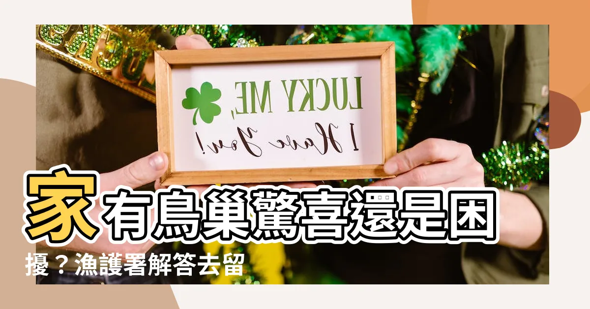 【家有鳥巢】家有鳥巢驚喜還是困擾？漁護署解答去留難題