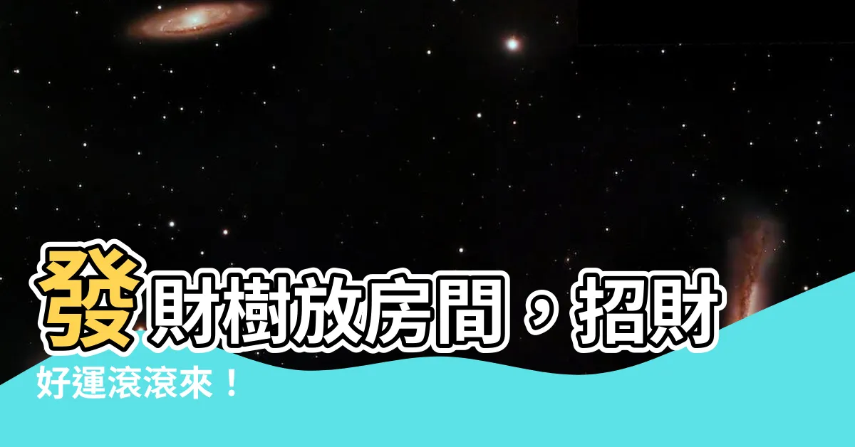 【發財樹放房間】發財樹放房間，招財好運滾滾來！