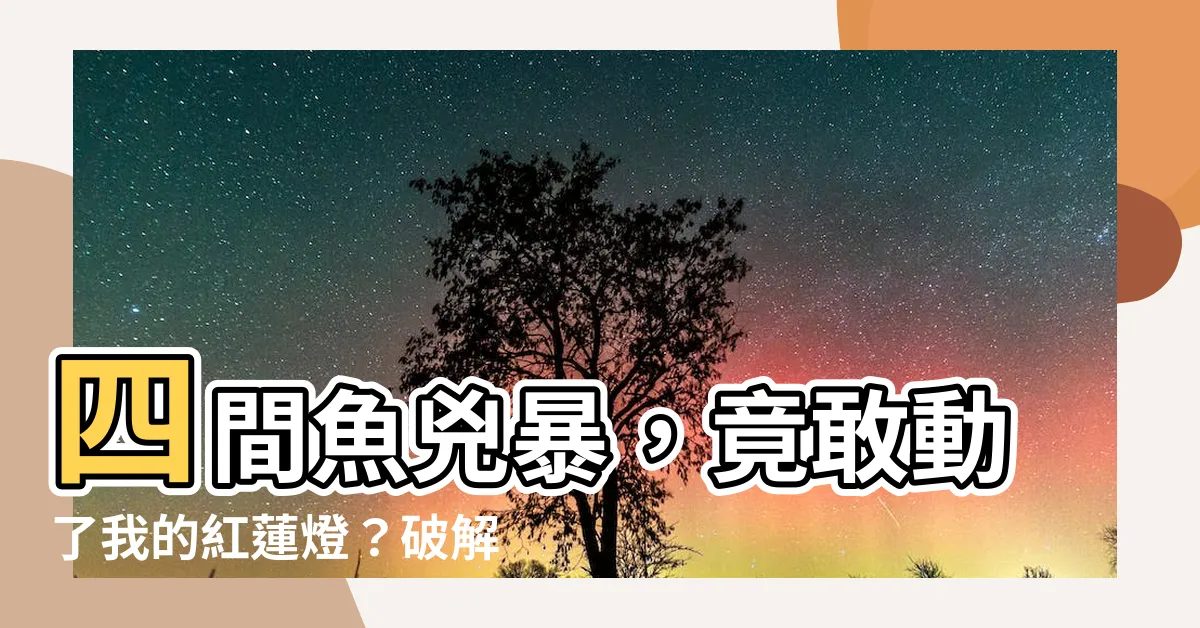 【四間魚兇】四間魚兇暴，竟敢動了我的紅蓮燈？破解馴服秘訣，輕鬆混養！