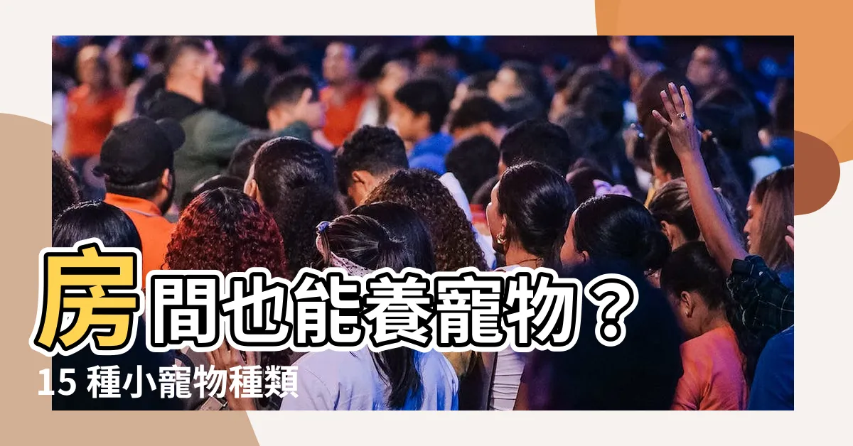 【小寵物種類】房間也能養寵物？ 15 種小寵物種類任你挑！