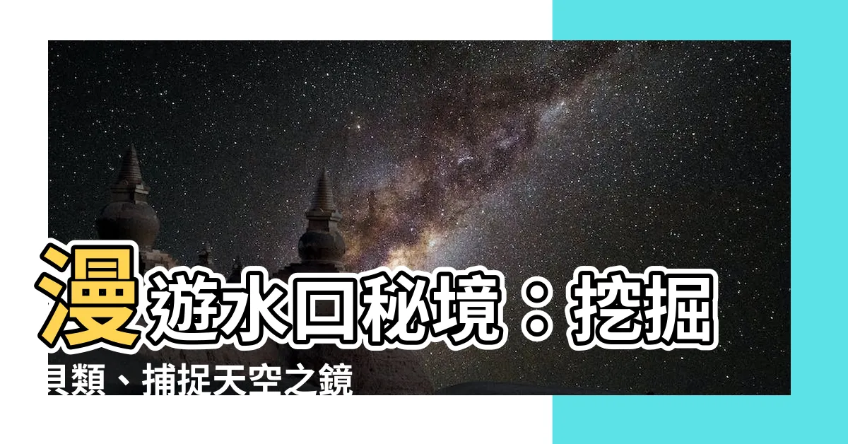 【水口】漫遊水口秘境：挖掘貝類、捕捉天空之鏡的夢幻時光