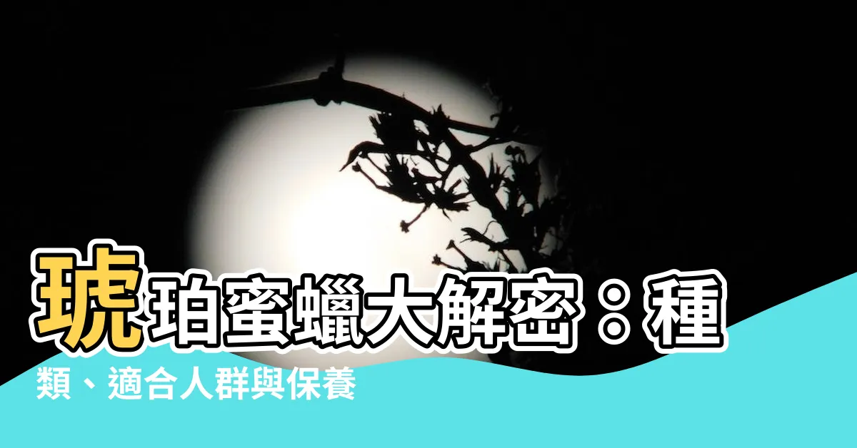【蜜蠟琥珀】琥珀蜜蠟大解密：種類、適合人羣與保養秘訣