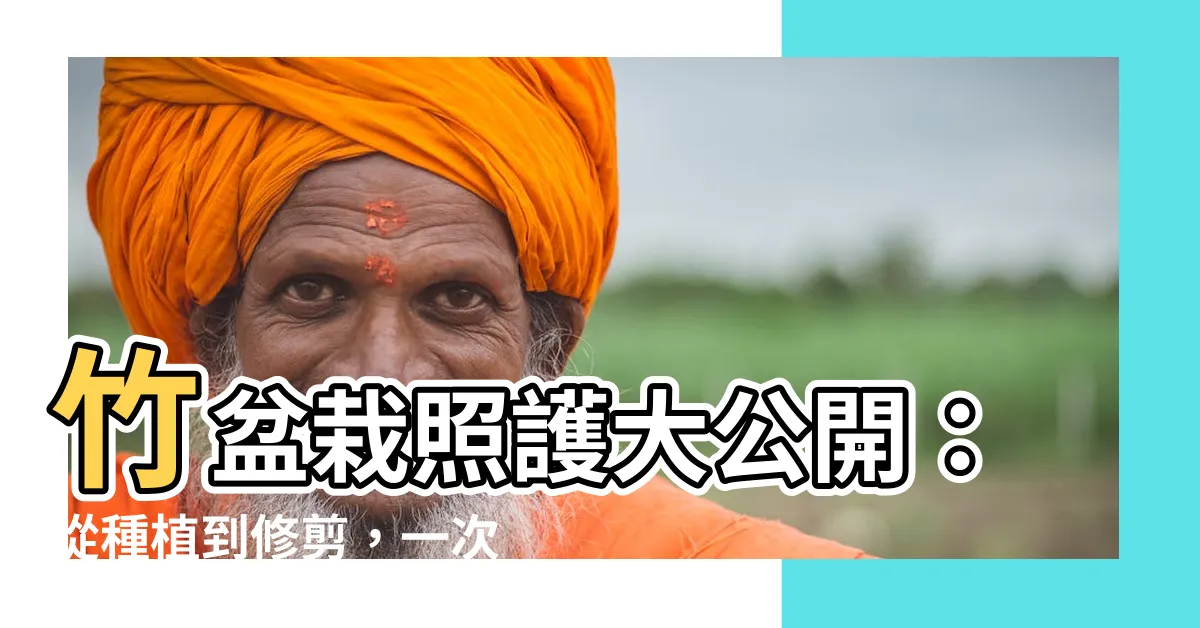 【竹 盆栽】竹盆栽照護大公開：從種植到修剪，一次搞定！