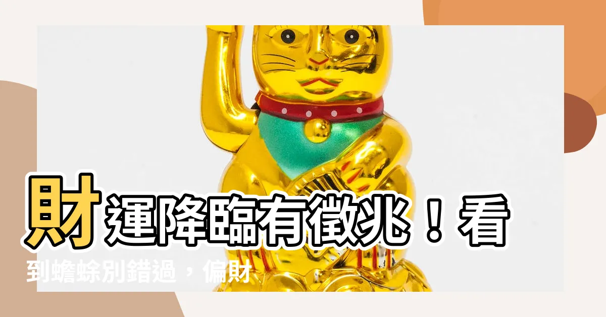 【看到蟾蜍代表什麼】財運降臨有徵兆！看到蟾蜍別錯過，偏財運爆發就在這！