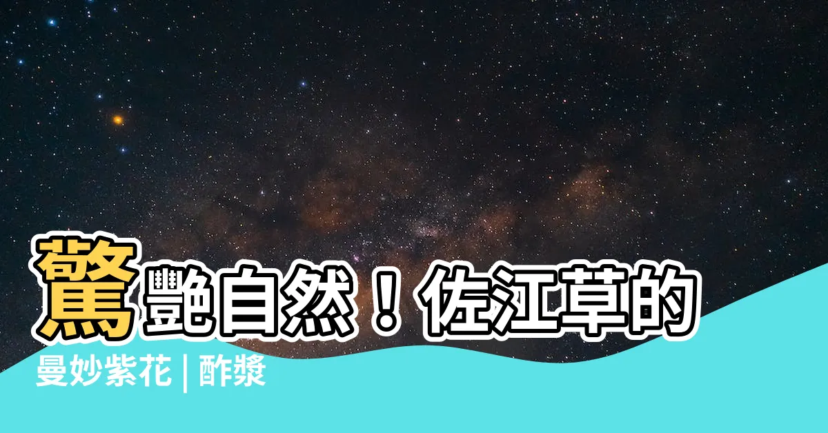 【佐江草】驚艷自然！佐江草的曼妙紫花 | 酢漿草科中不可錯過的奇景