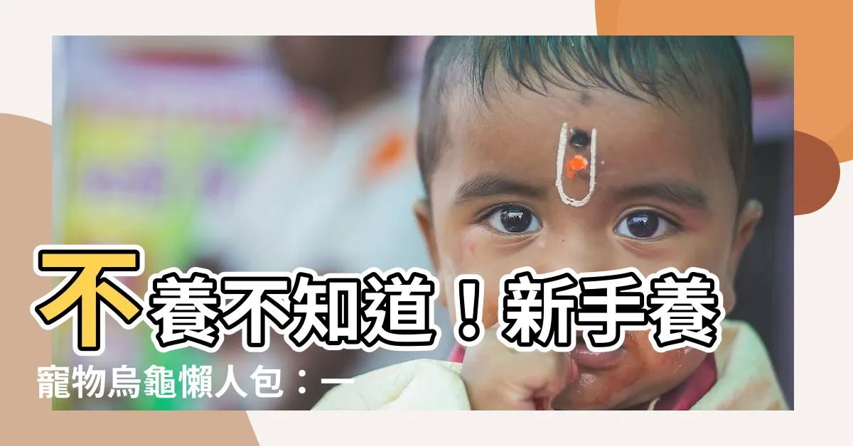 【寵物 烏龜】不養不知道！新手養寵物烏龜懶人包：一次上手！
