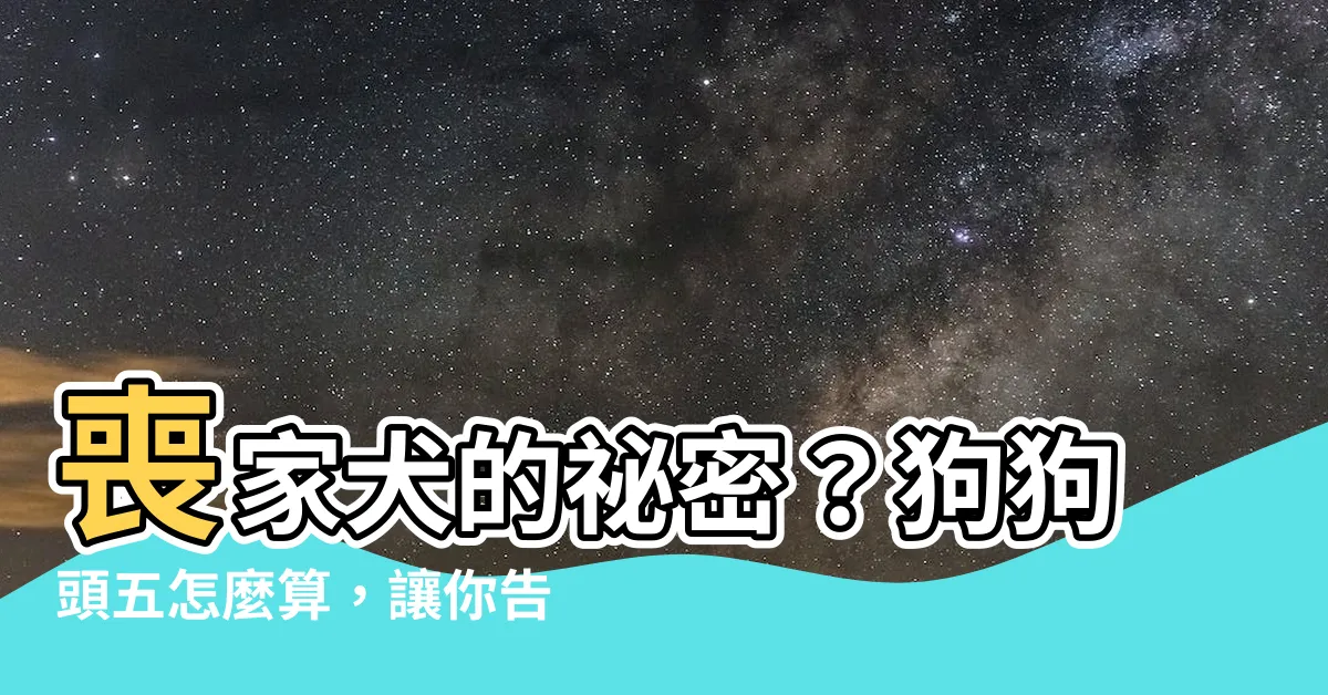 【狗狗頭五怎麼算】喪家犬的秘密？狗狗頭五怎麼算，讓你告別毛孩不留遺憾！