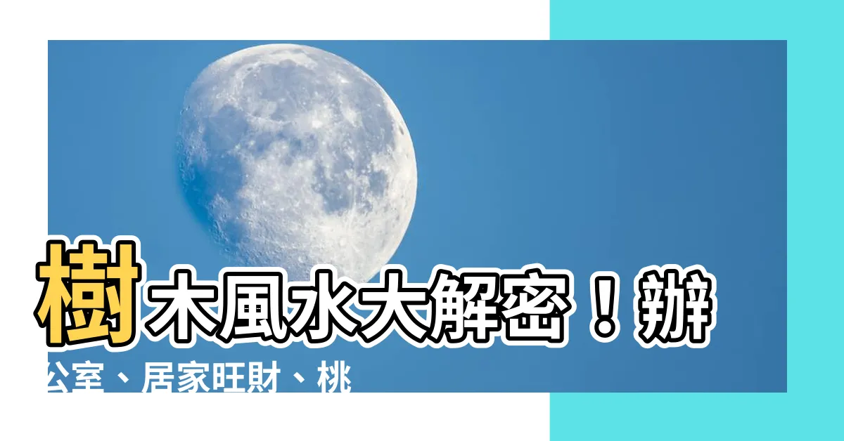 【樹 風水】樹木風水大解密！辦公室、居家旺財、桃花運一把抓