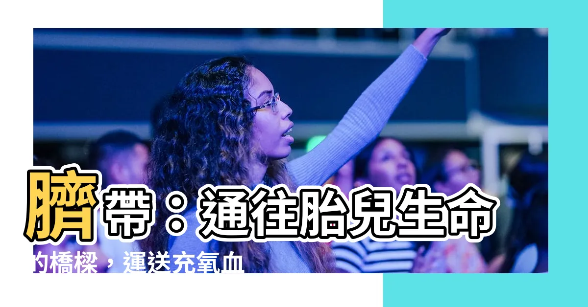 【臍靜脈 充氧血】臍帶：通往胎兒生命的橋樑，運送充氧血的密秘