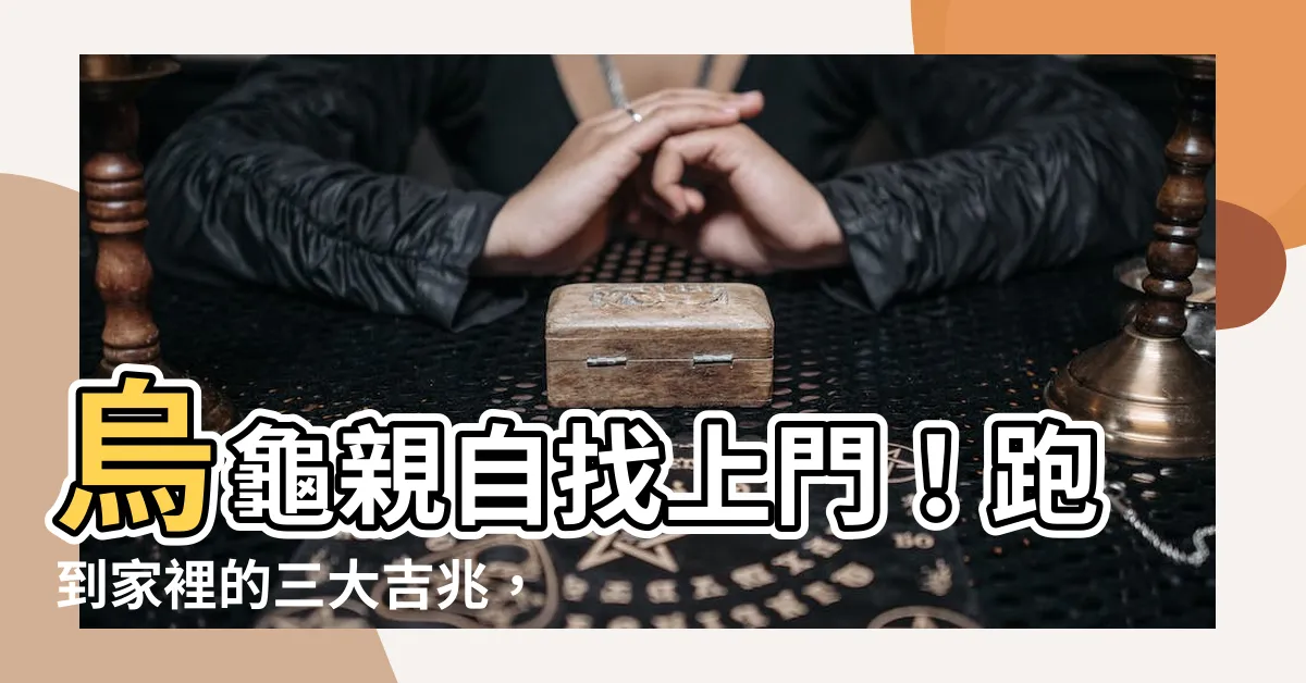 【烏龜自己跑來家裡】烏龜親自找上門！跑到家裡的三大吉兆，你家有嗎？