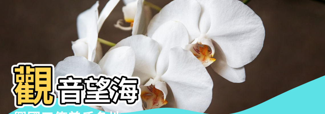 【興國具觀音望海風水】觀音望海 |興國三僚曾氏名地 |三僚堪輿風水文化 |
