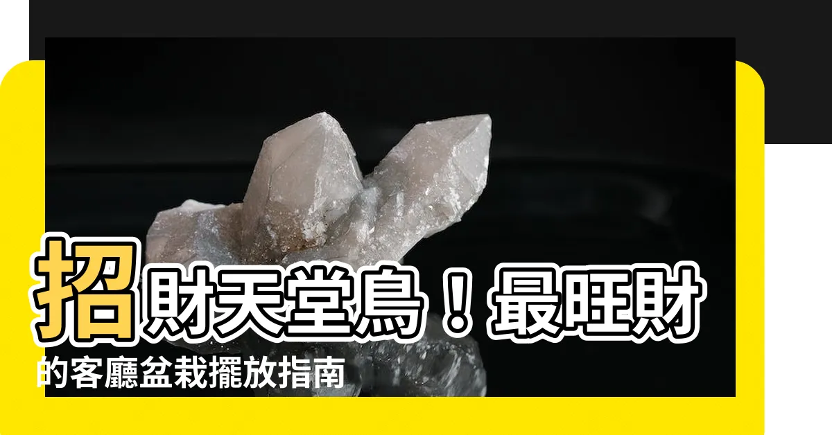【天堂鳥財位】招財天堂鳥！最旺財的客廳盆栽擺放指南