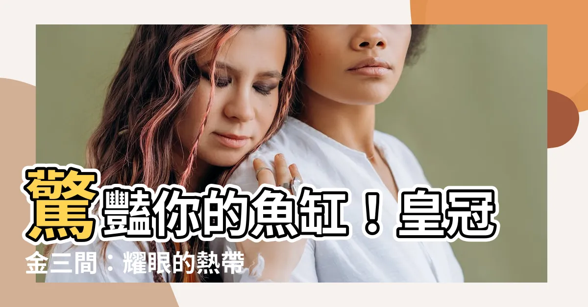 【皇冠金三間】驚豔你的魚缸！皇冠金三間：耀眼的熱帶魚之王