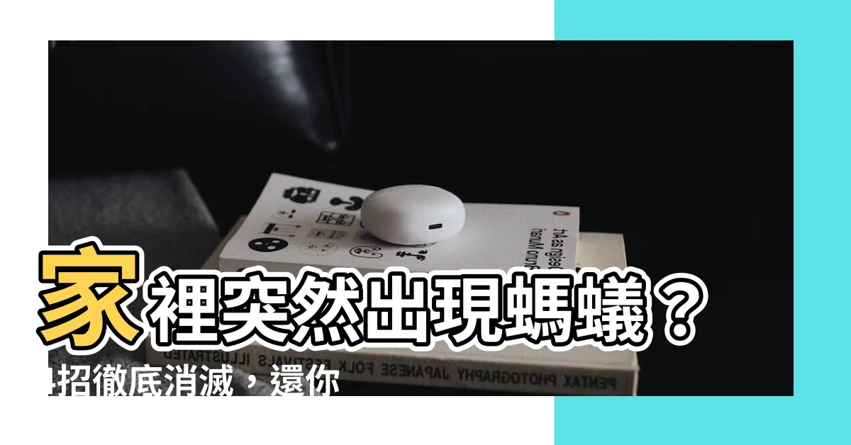 【家裡突然有螞蟻】家裡突然出現螞蟻？4招徹底消滅，還你乾淨生活！