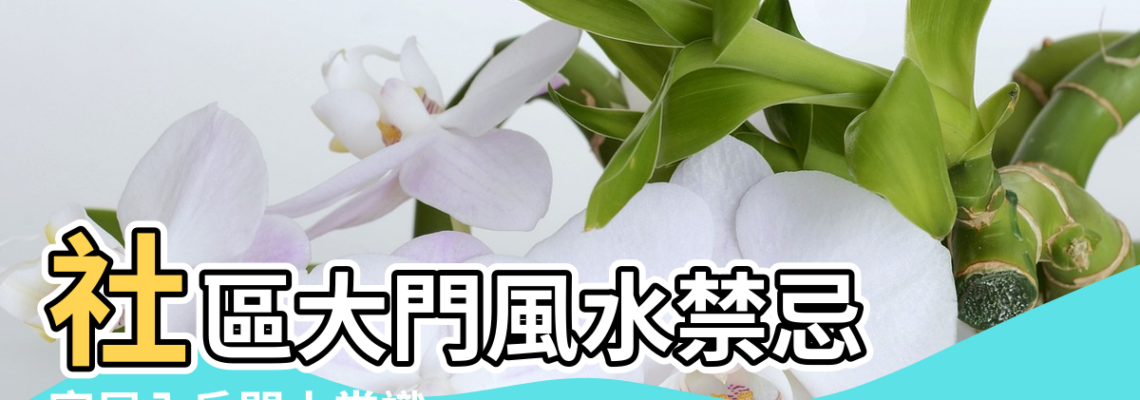 【社區入戶門風水】社區大門風水禁忌 |家居入戶門小常識 |社區大門風水禁忌總結 |