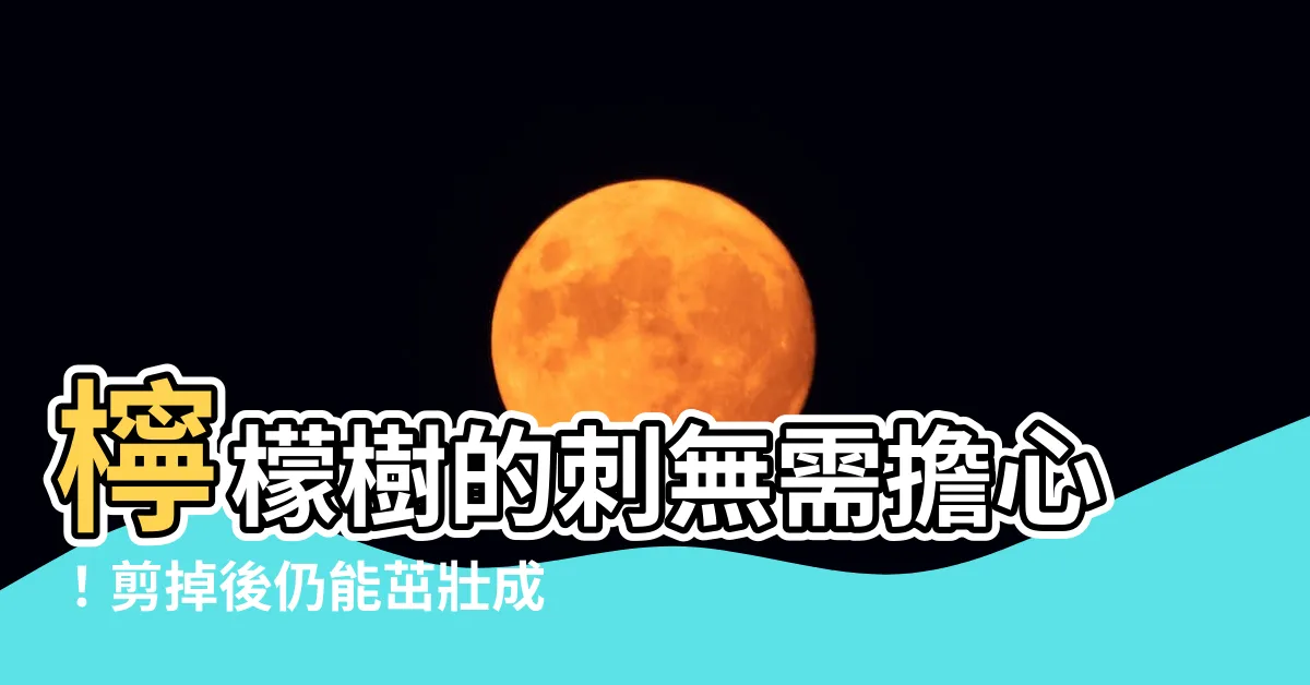 【檸檬樹的刺可以剪掉嗎】檸檬樹的刺無需擔心！剪掉後仍能茁壯成長嗎？