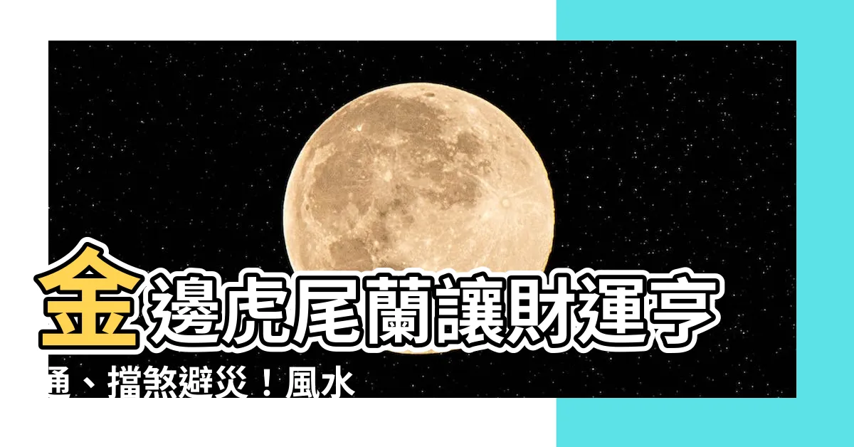 【金邊虎尾蘭風水】金邊虎尾蘭讓財運亨通、擋煞避災！風水盆栽這樣擺財源滾滾來