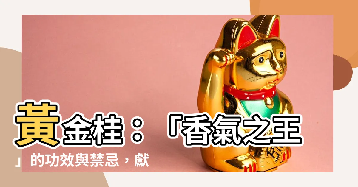 【黃金桂禁忌】黃金桂：「香氣之王」的功效與禁忌，獻給品茗愛好者