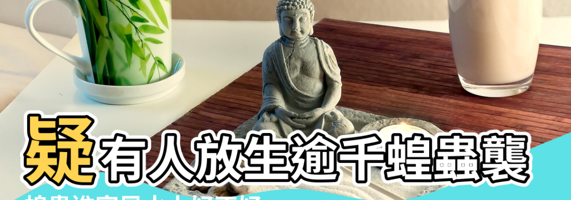 【蝗蟲在家裡風水】疑有人放生逾千蝗蟲襲大埔 |蝗蟲進家風水上好不好 |搜索結果 |