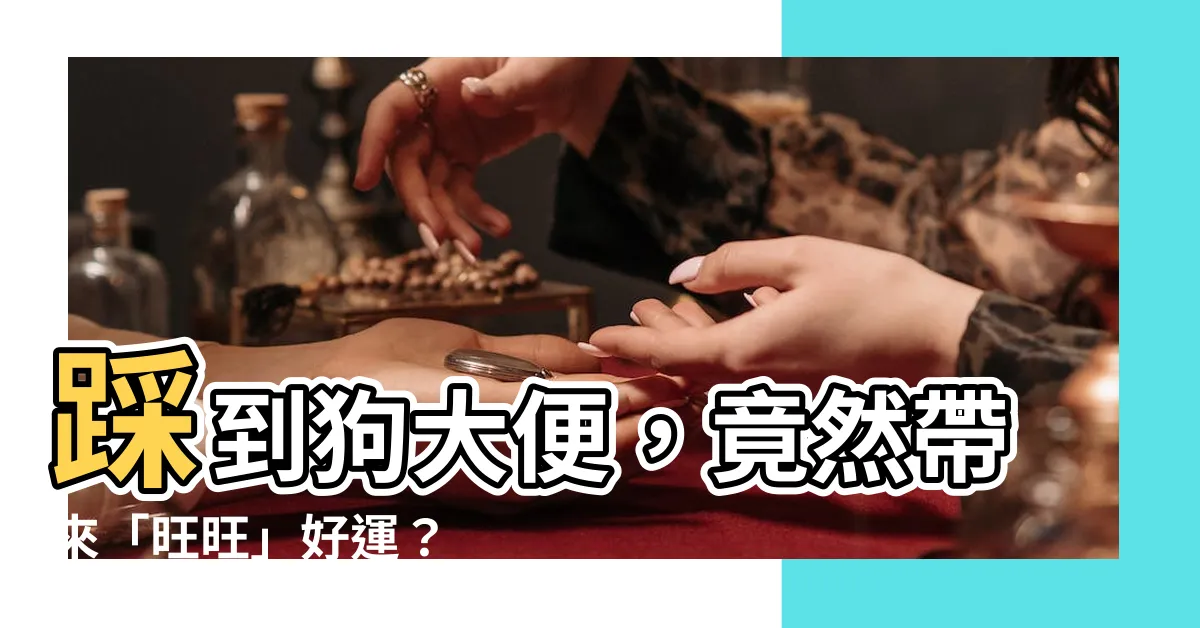 【踩到狗大便】踩到狗大便，竟然帶來「旺旺」好運？