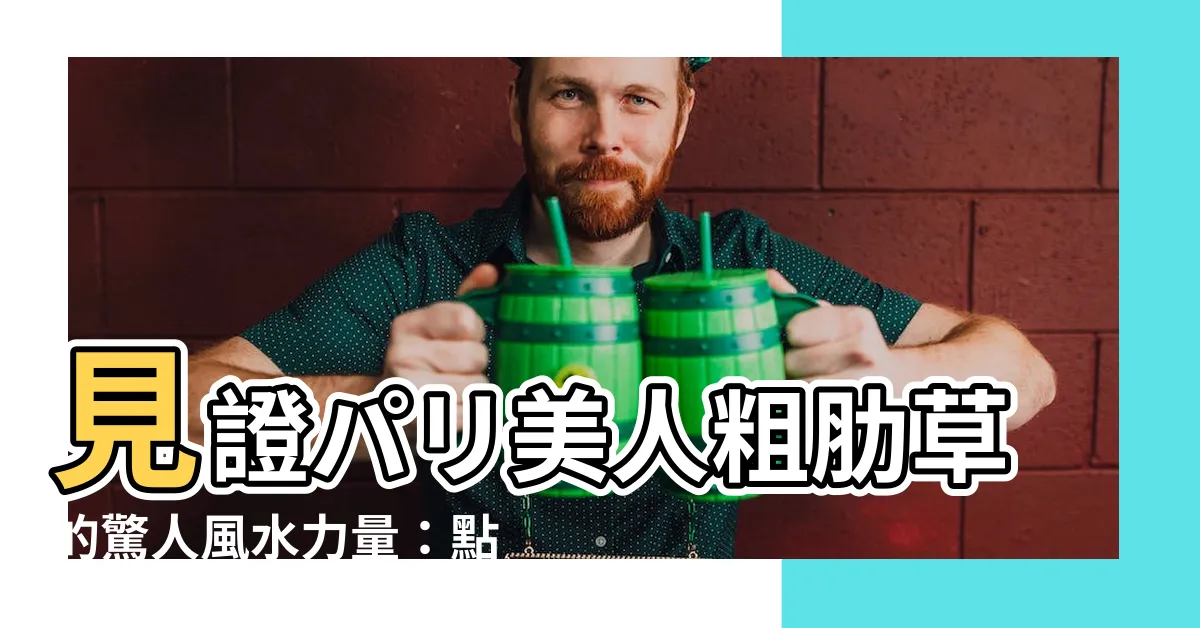 【巴黎美人粗肋草風水】見證パリ美人粗肋草的驚人風水力量：點亮家居運勢，招財進寶！