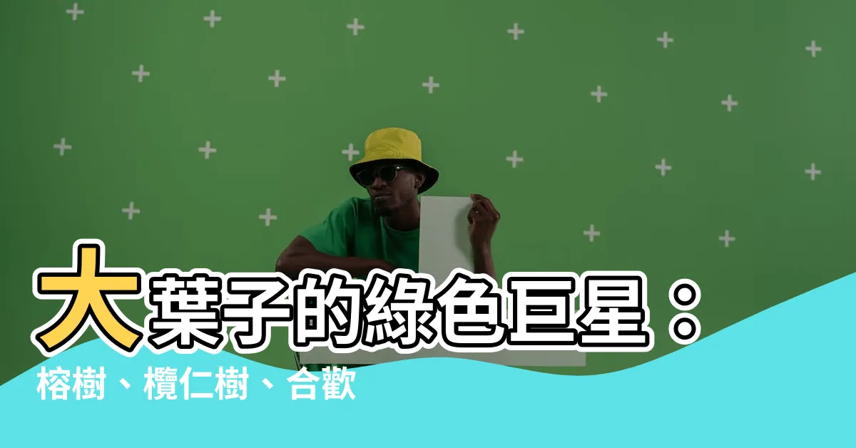【大葉子的樹】大葉子的綠色巨星：榕樹、欖仁樹、合歡樹揭密