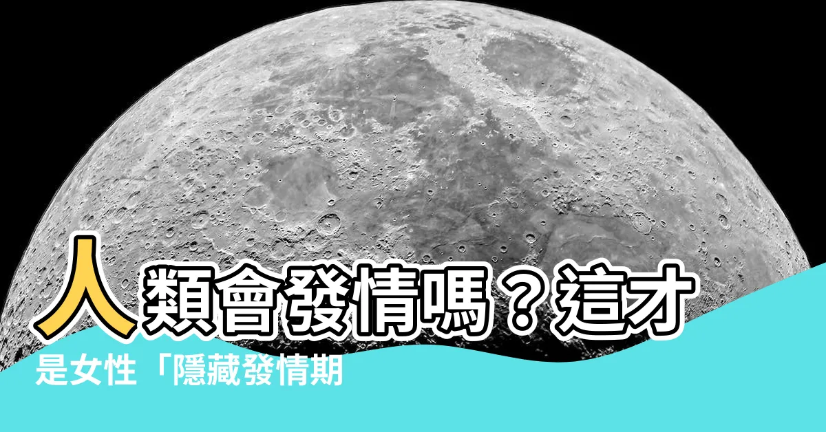 【人類會發情嗎】人類會發情嗎？這才是女性「隱藏發情期」的真相