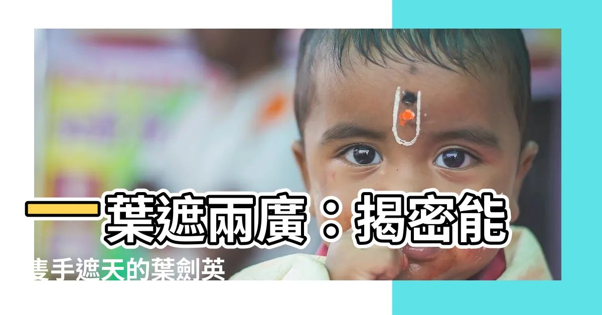 【一葉遮兩廣】一葉遮兩廣：揭密能隻手遮天的葉劍英