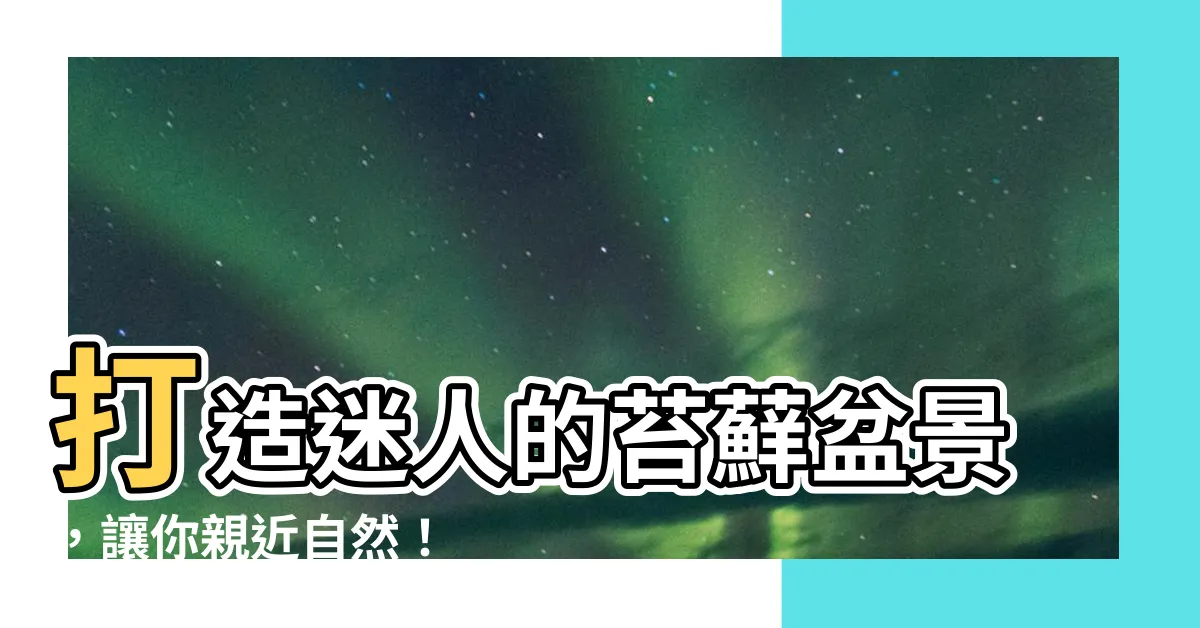 【苔蘚盆景】打造迷人的苔蘚盆景，讓你親近自然！