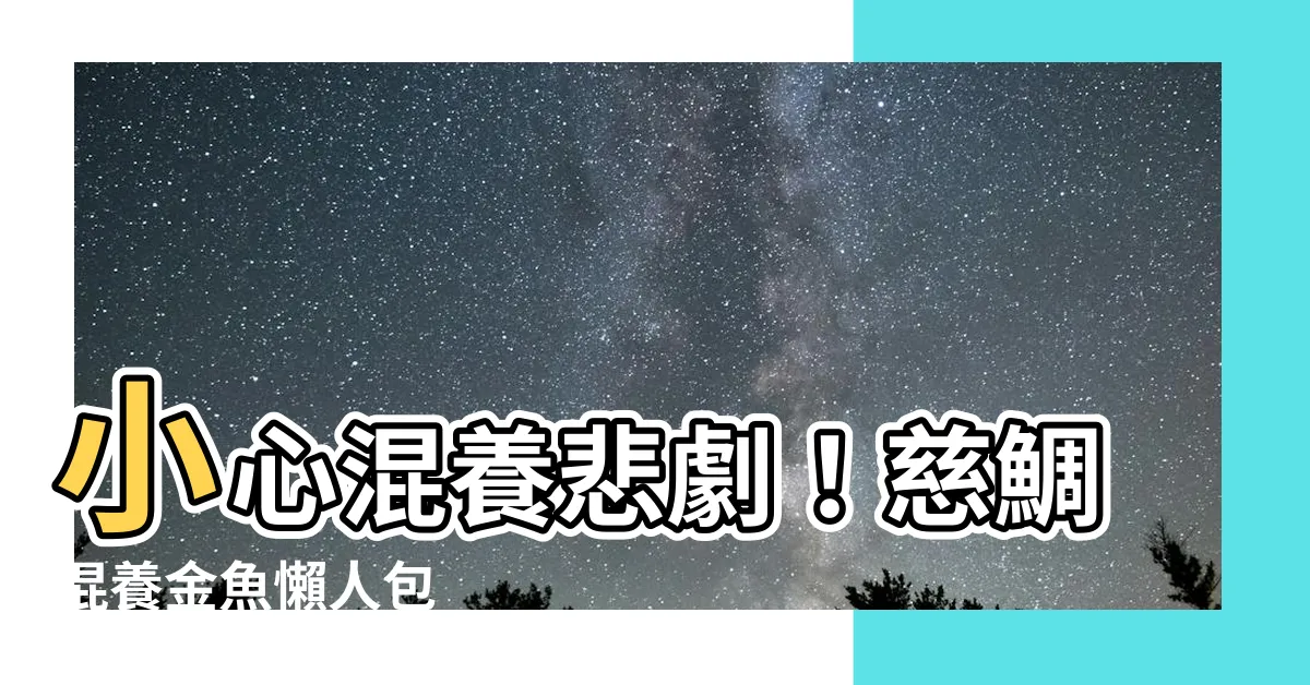 【慈鯛混養金魚】小心混養悲劇！慈鯛混養金魚懶人包