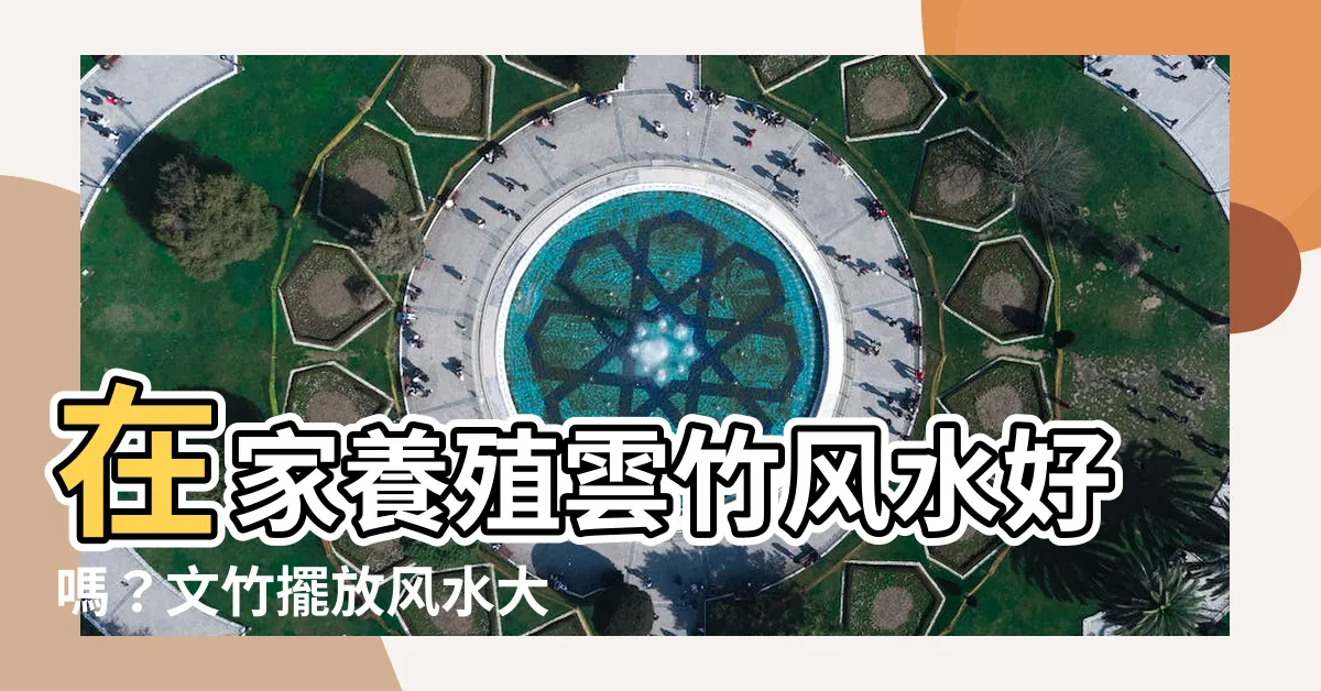 【雲竹風水】在家養殖雲竹風水好嗎？文竹擺放風水大解析！