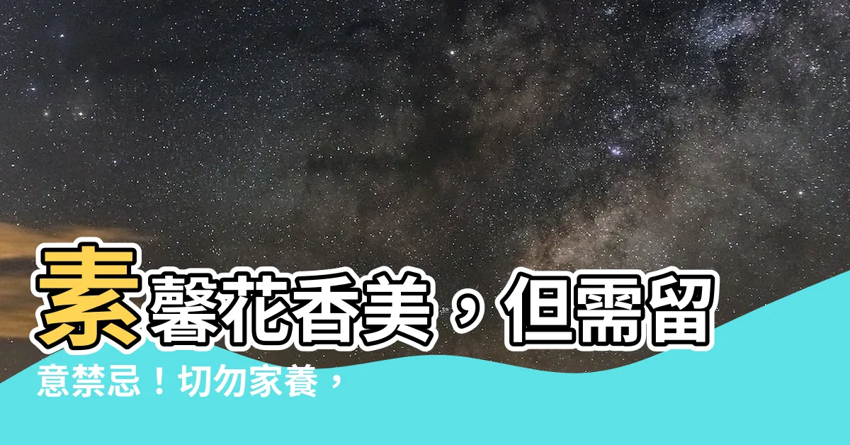 【素馨花禁忌】素馨花香美，但需留意禁忌！切勿家養，以免招禍上身