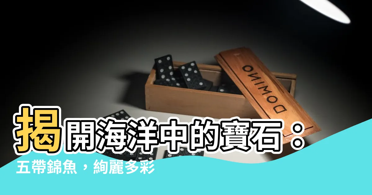 【五帶錦魚】揭開海洋中的寶石：五帶錦魚，絢麗多彩的熱帶魚類！