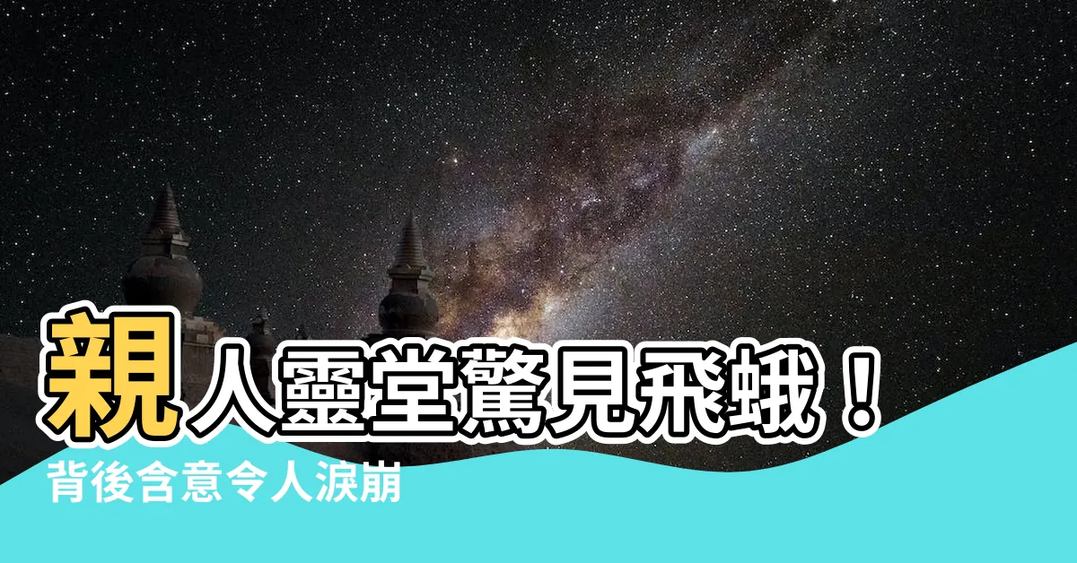 【靈堂出現蛾】親人靈堂驚見飛蛾！背後含意令人淚崩