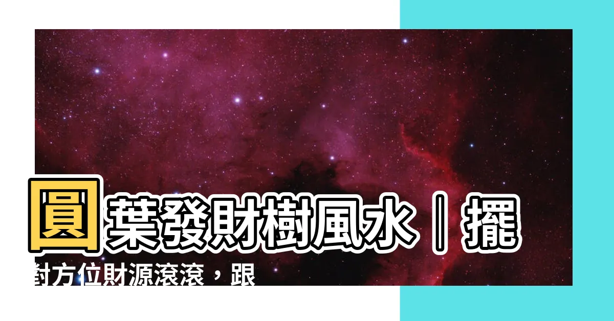 【圓葉發財樹風水】圓葉發財樹風水｜擺對方位財源滾滾，跟著做財運亨通！