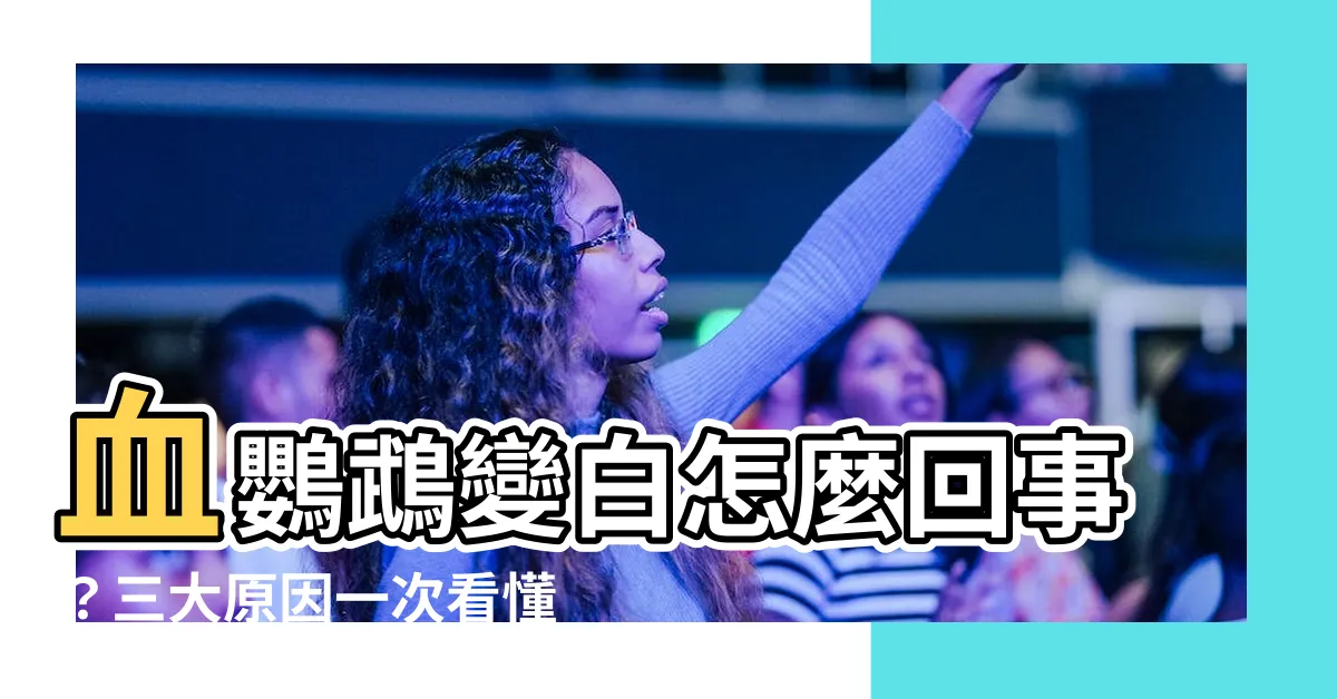 【血鸚鵡 變白】血鸚鵡變白怎麼回事？三大原因一次看懂