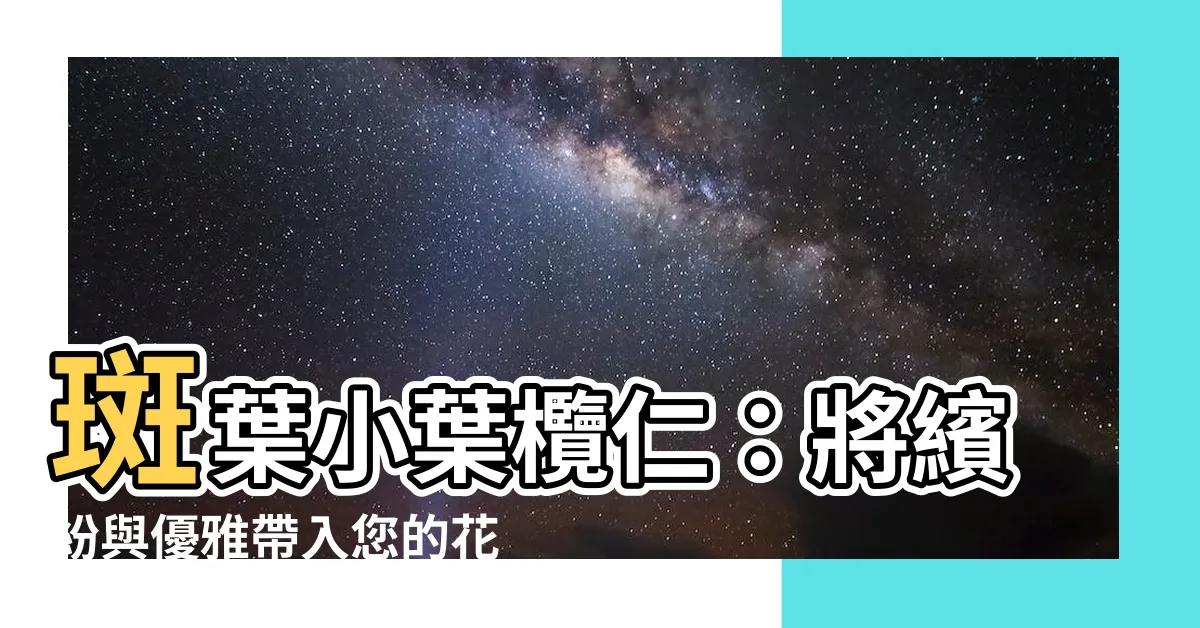 【斑葉小葉欖仁】斑葉小葉欖仁：將繽紛與優雅帶入您的花園