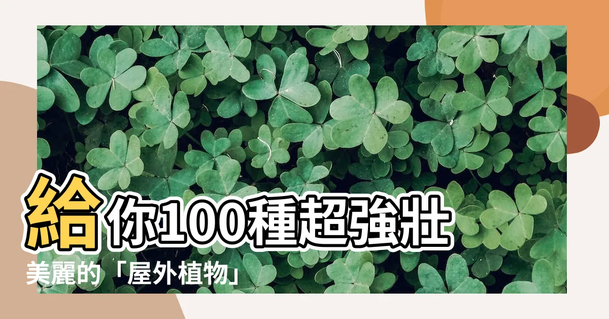 【屋外植物】給你100種超強壯美麗的「屋外植物」，妝點你的户外綠洲！
