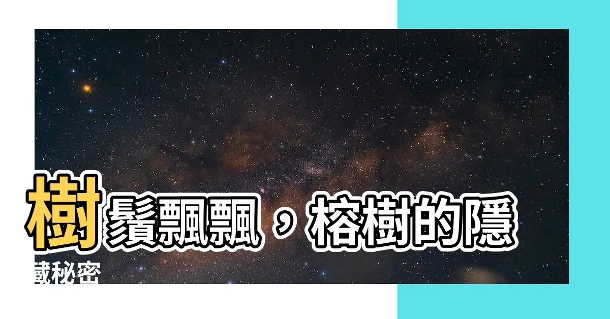 【樹鬚】樹鬚飄飄，榕樹的隱藏秘密