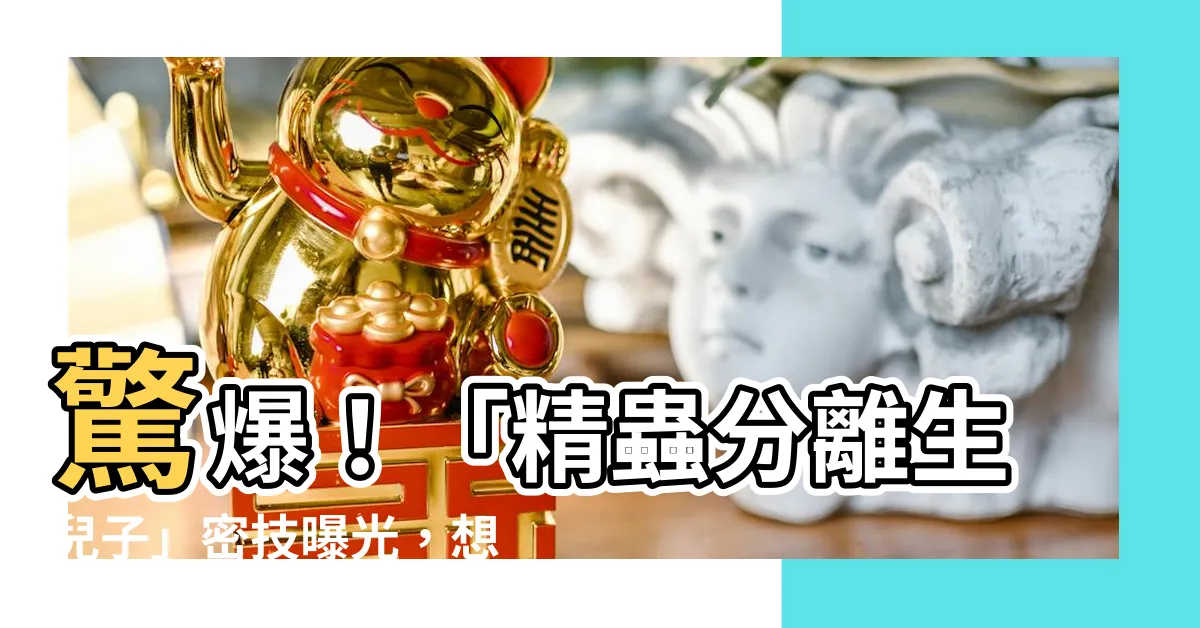 【精蟲分離生兒子】驚爆！「精蟲分離生兒子」密技曝光，想得男不再是夢！