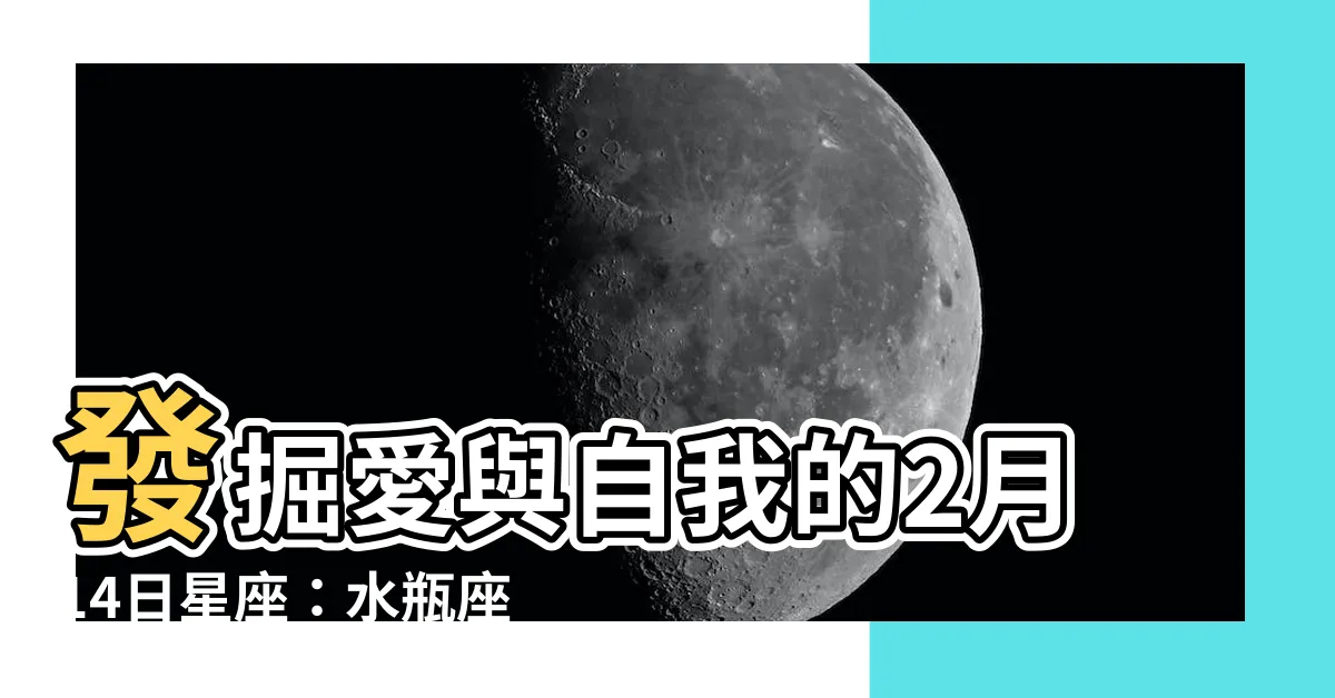 【2月14日星座】發掘愛與自我的2月14日星座：水瓶座