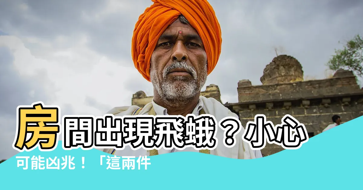 【房間出現飛蛾】房間出現飛蛾？小心可能凶兆！「這兩件事」恐將發生