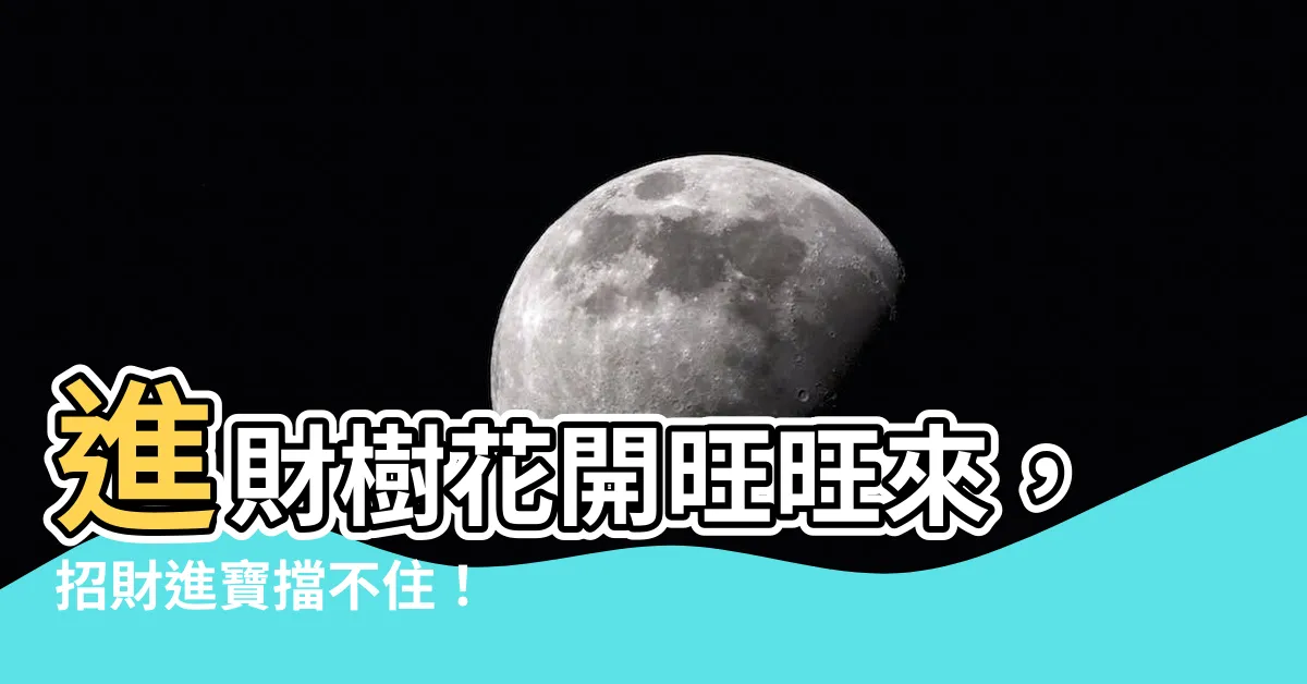 【進財樹開花】進財樹花開旺旺來，招財進寶擋不住！