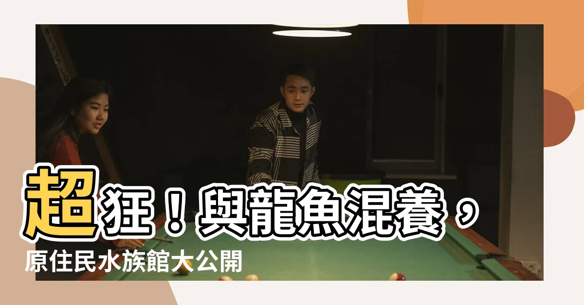 【龍魚可以跟什麼魚混養】超狂！與龍魚混養，原住民水族館大公開！