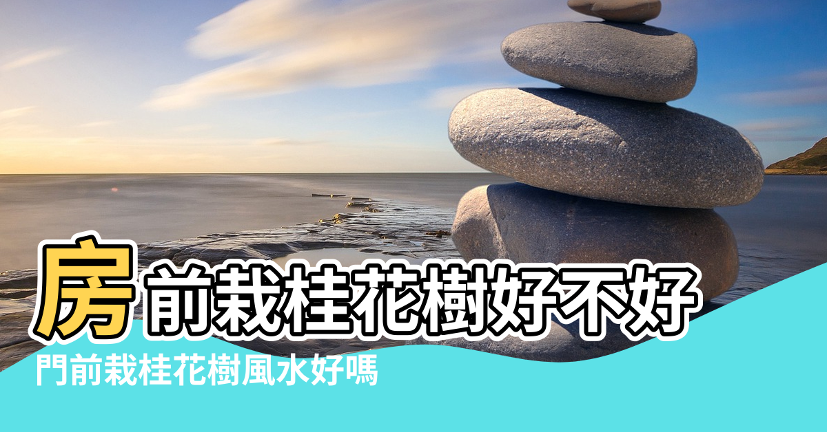 【房前栽桂花樹風水】房前栽桂花樹好不好 |門前栽桂花樹風水好嗎 |門前栽桂花樹風水好嗎 |