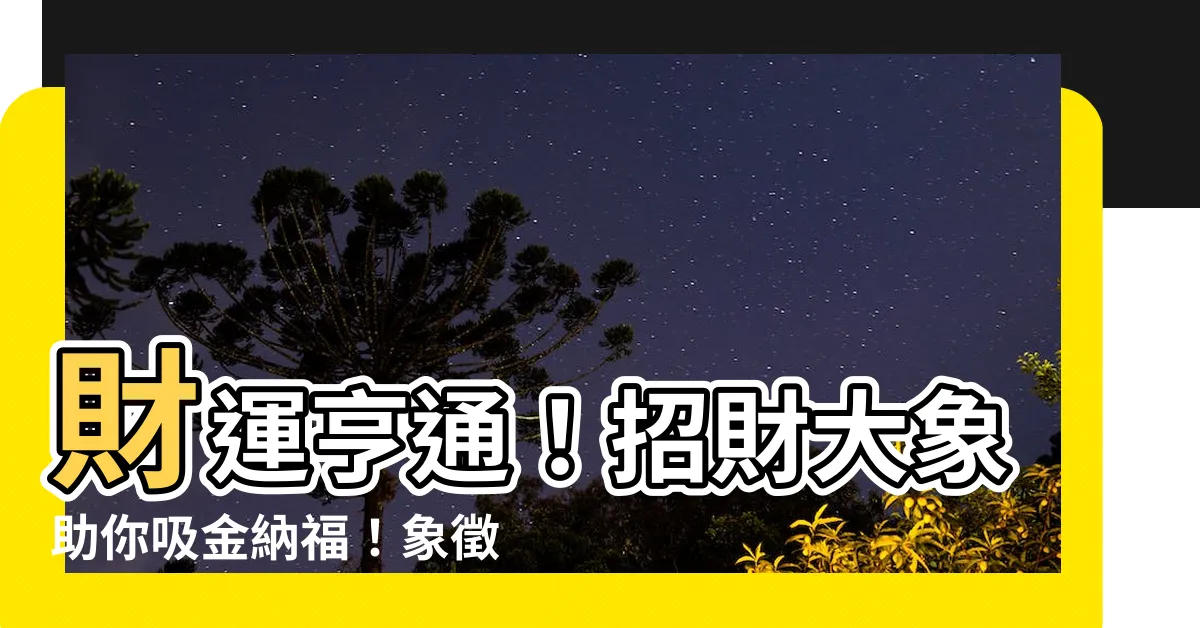 【招財大象】財運亨通！招財大象助你吸金納福！象徵富貴，提升氣場